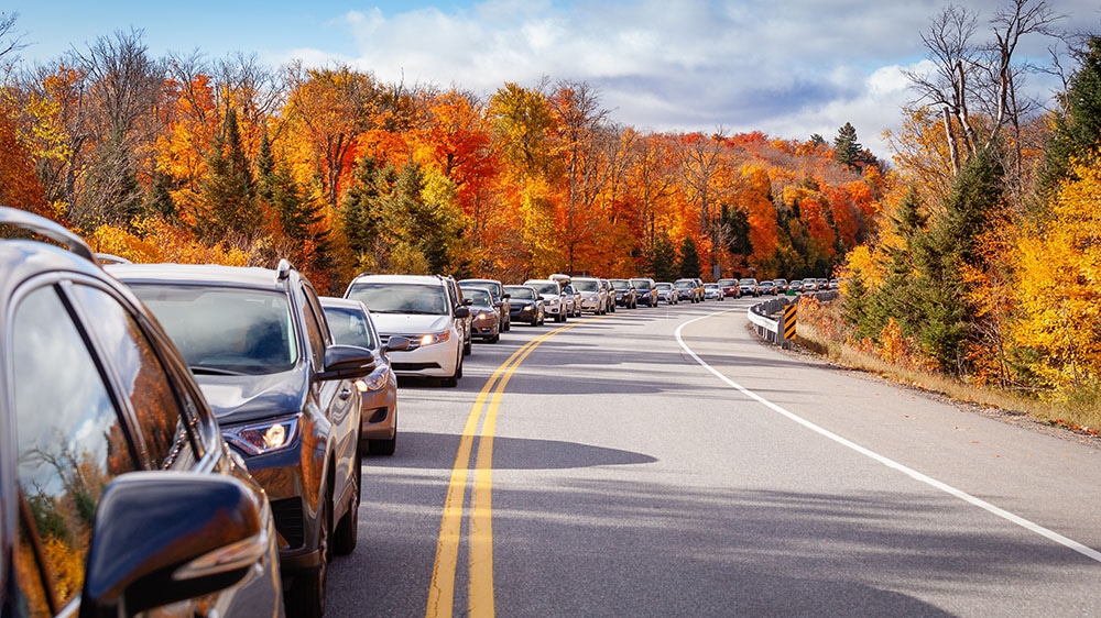Featured image for WITH FALL AROUND THE CORNER ITS TIME TO THINK ABOUT A NEW CABIN AIR FILTER