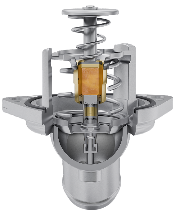 Thermostat cutaway view